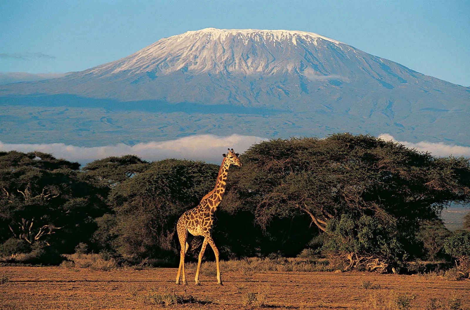 Africa