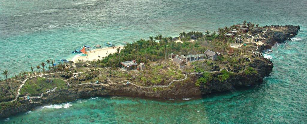 Crocodile Island