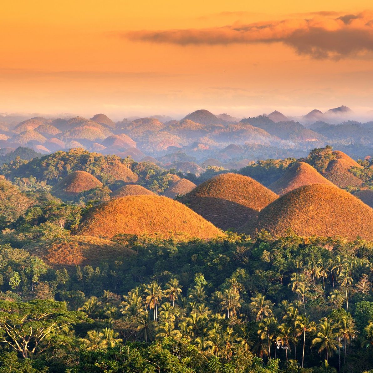 Bohol