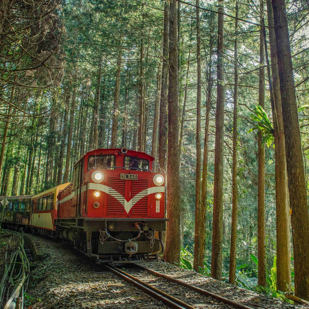 Alishan Township