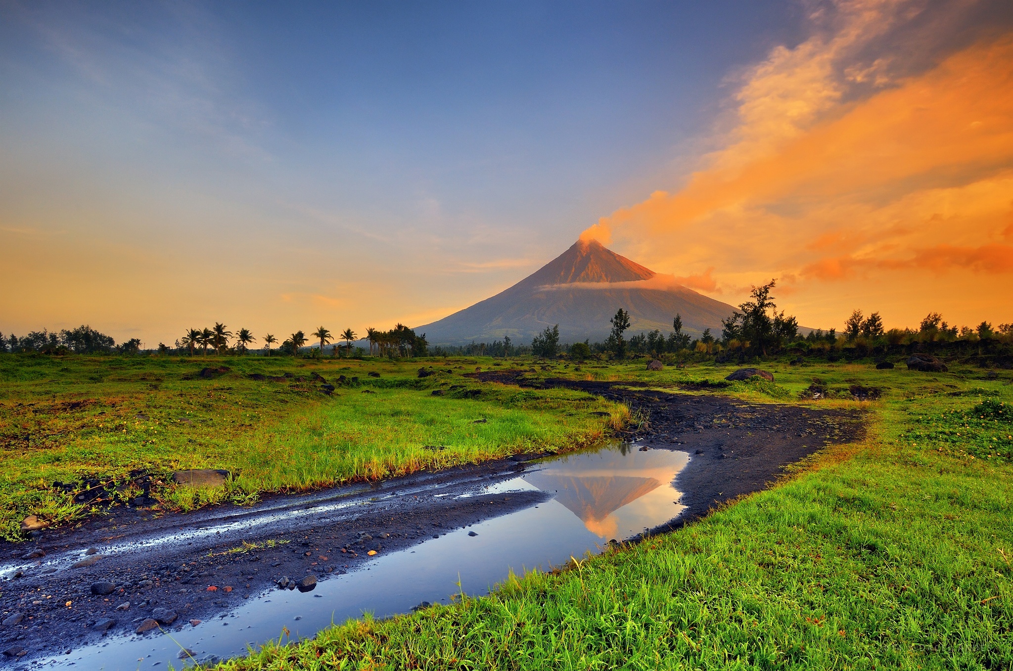 Albay