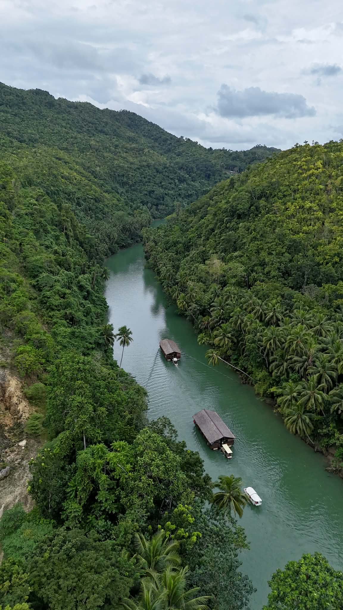 Bohol