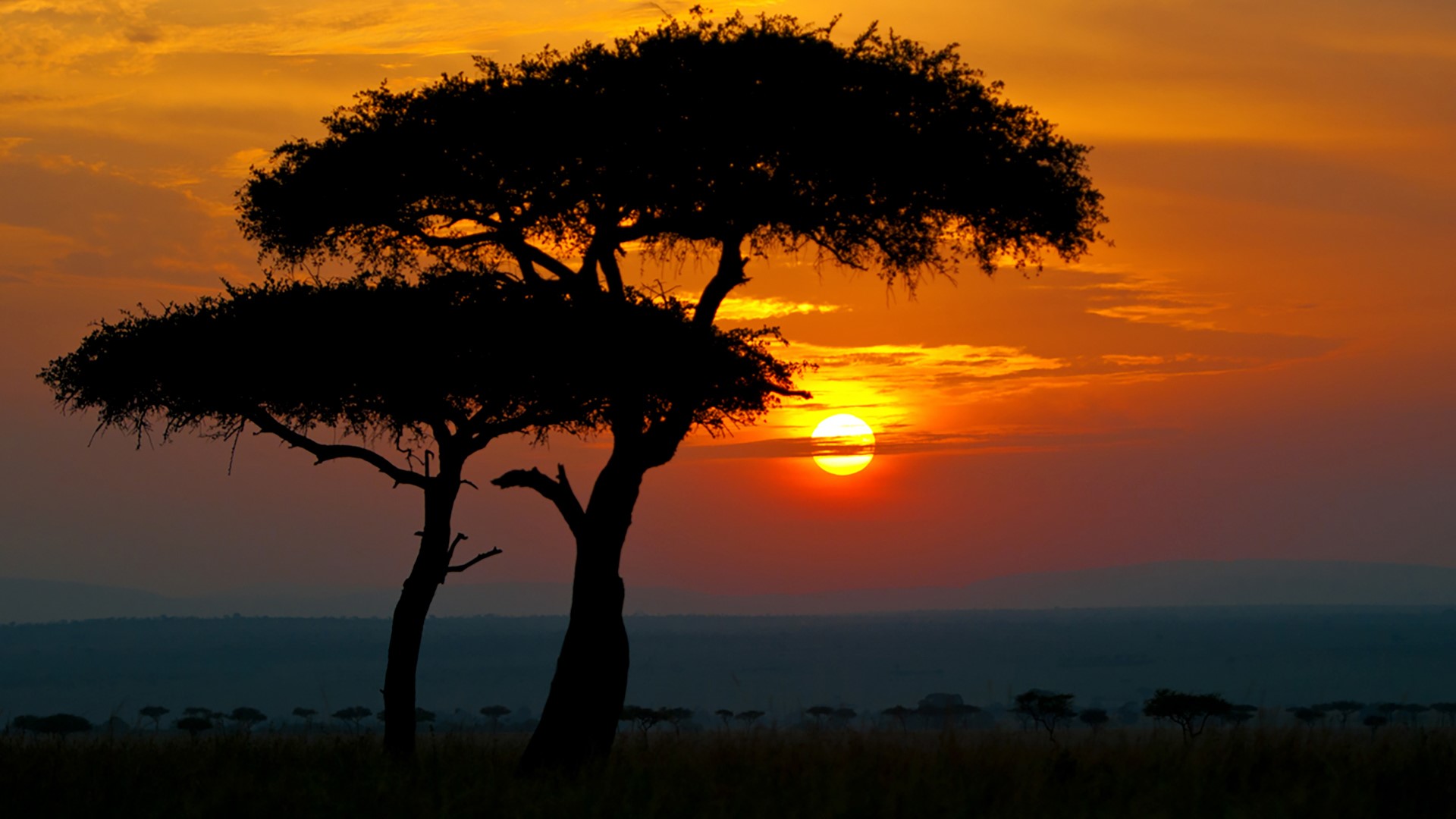 Masai Mara National Reserve, Kenya